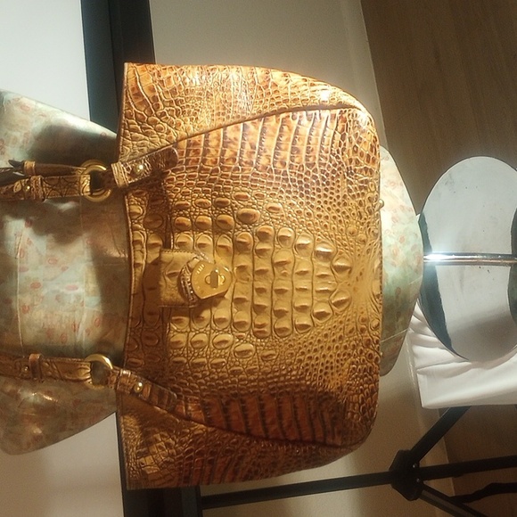 Brahmin - Picture 10 of 12